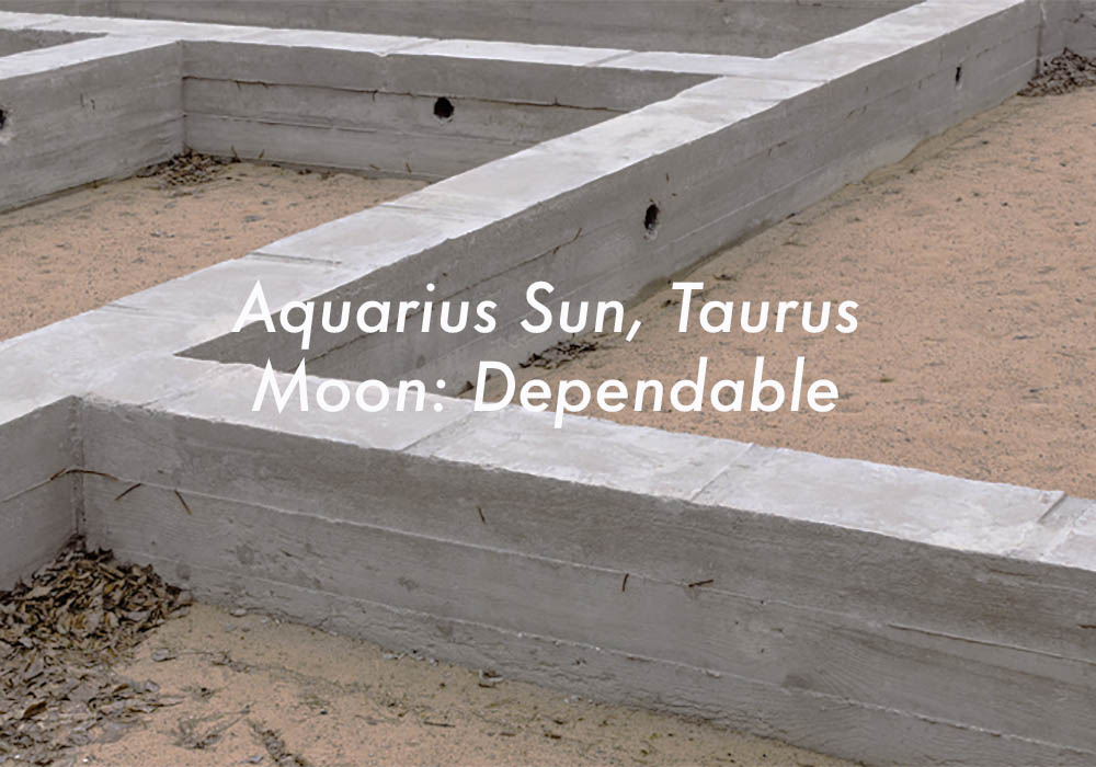 Aquarius Sun Taurus Moon