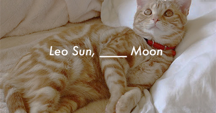 Leo Sun, ____ Moon %>