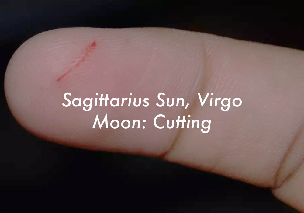 Sagittarius Sun Virgo Moon