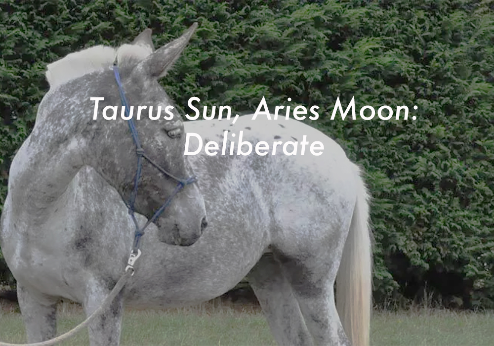 Taurus Sun Aries Moon