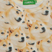 Doge Meme Dog Shirt Shiba Inu