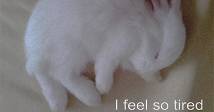 A Love Letter to the Twelfth House %>