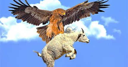 Aries Aquarius Relationships %>