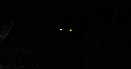 December 2025 Horoscopes %>