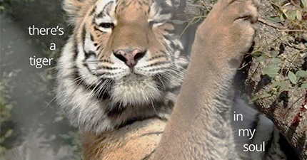 Jia Wood Born in the Month of the Tiger %>