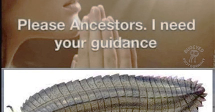 June 2026 Horoscopes %>
