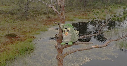 November 2025 Horoscopes %>