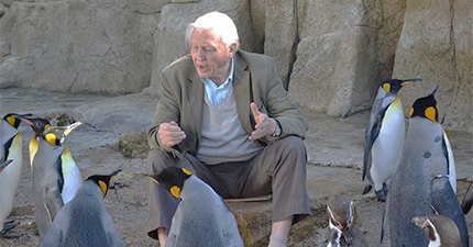 Saturn in the Eleventh House %>