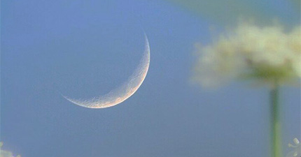 The Progressed Moon Return %>