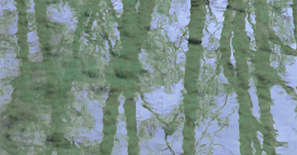 Wood Rat Jia Zi Day Pillar %>